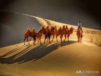 昆山聚垒商贸有限公司