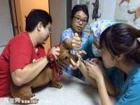 昆山聚垒商贸有限公司
