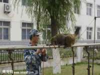 昆山聚垒商贸有限公司