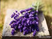 昆山聚垒商贸有限公司