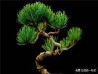 昆山聚垒商贸有限公司
