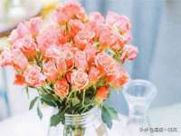 昆山聚垒商贸有限公司