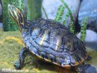 昆山聚垒商贸有限公司