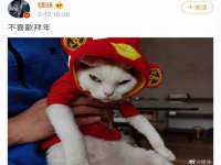 昆山聚垒商贸有限公司