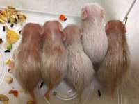 昆山聚垒商贸有限公司