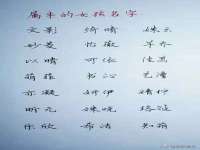 昆山聚垒商贸有限公司